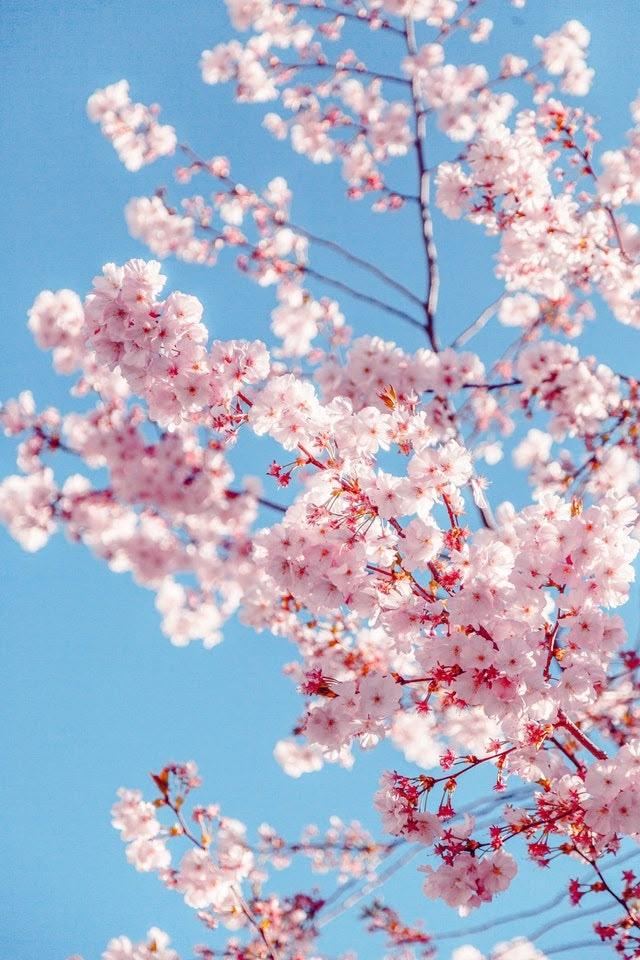 Whispers of Nature's Harmony Bouquet